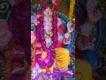 Bappa 💫 #music #song #youtubeshorts #love #ytshorts