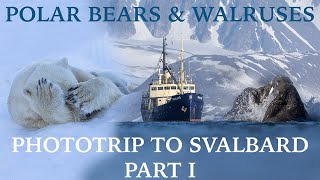 PHOTOTRIP to SVALBARD // WILDLIFE PHOTOGRAPHY  Polar bear and walruses // Part I