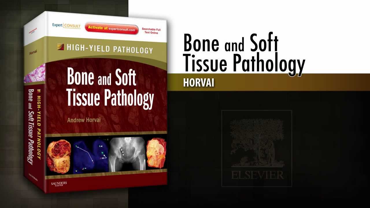 Bone and Soft Tissue Pathology, A Volume in the High-Yield Pathology ...