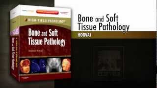 Bone and Soft Tissue Pathology, A Volume in the High-Yield Pathology Series screenshot 2