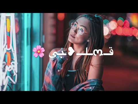 ابن قلبي كرار صلاح مع الكلمات