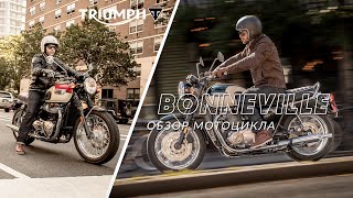 TRIUMPH BONNEVILLE: обзор семейства классических мотоциклов Triumph Bonneville T100 и T120.
