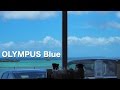 Olympus bluepicture modeifinish omd em5 mark iimzuiko digital ed 1240mm f28 pro