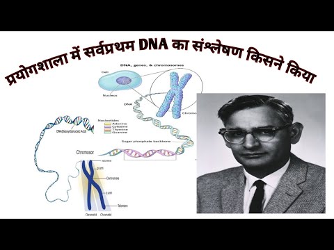 वीडियो: डीएनए संश्लेषण की खोज किसने की?
