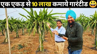 ड्रैगन फ्रूट से लाखों कमाने की पूरी जानकारी | Order Now 📞7702220145 | Dragon Fruit Farming in India