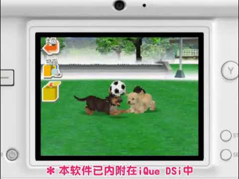 Video: Nintendogs + Mačke • Stranica 2