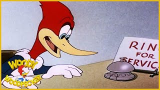 Woody Woodpecker Woody Dines Out Old Cartoon Woody Woodpecker Full Episodes