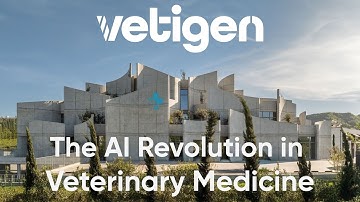 Introducing Vetigen Platform | The AI Revolution in Veterinary Medicine