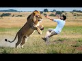 Lion attack man in forest  lion attack hunter   lion king attack stories part 5