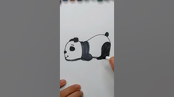 Cách vẽ gấu trúc đơn giản | How to draw a Panda | 3 cha con #shorts