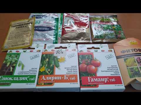 БИОпрепараты. Доступные и эффективные./Biopreparatios available and effective