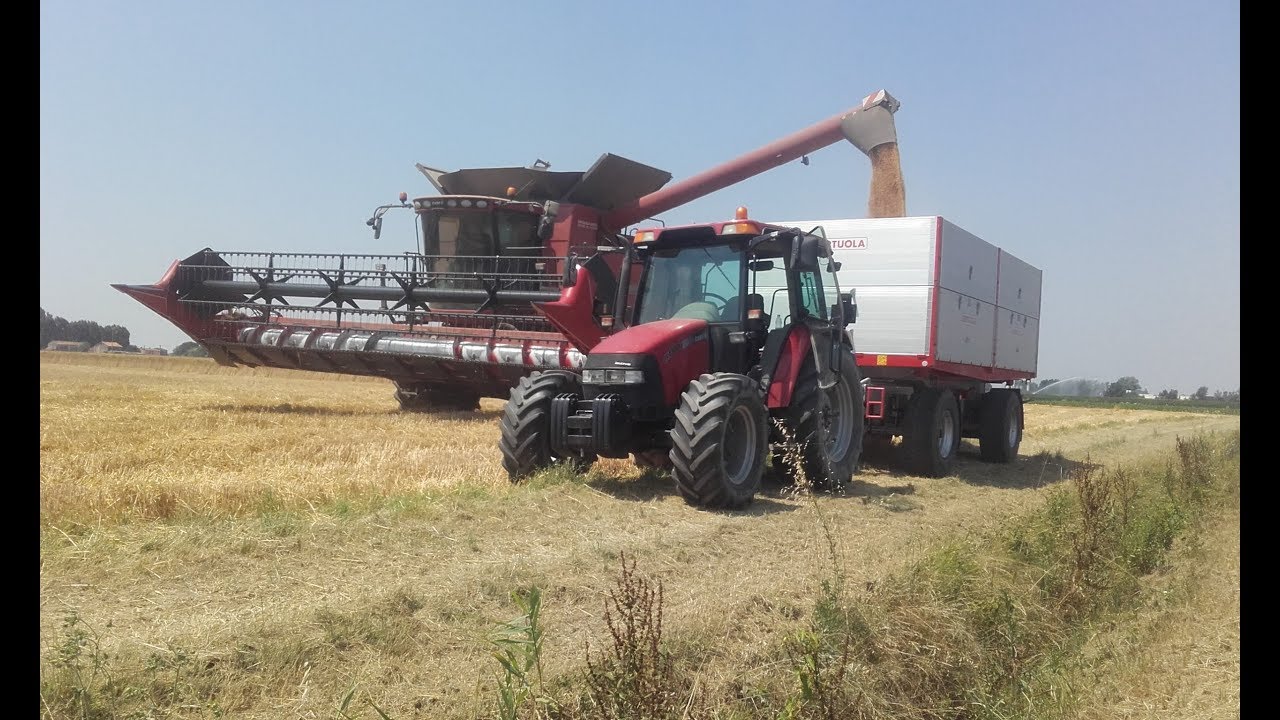 |Case Axial-Flow 7088| -trebbiatura grano 2017- by CRISS130!!