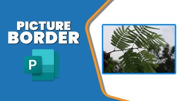 How to add Picture Border in Publisher