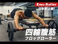 ついに日本初上陸！全身を一気に鍛える、体感したことのない本格トレーニング！楽しく続けて腹筋を割ろう！四輪腹筋フロッグローラー【Emu-Roller】