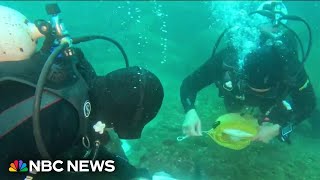 Federal funding cuts impact scientific research in the ocean