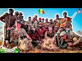 Une battue réussie aux phacochères! C&#39;est la fête ! Chasse au Sénégal en 4k - Kabacoto, épisode 3