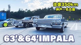 インパラ Youtube