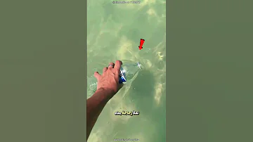 طريقة ذكية لتوفير الملح في المطبخ 