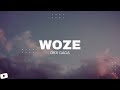 DIDI GAGA - WOZE | ዎዜ - New Ethiopian Music 2022 (Official Audio Visualizer)