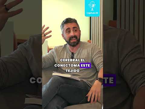 Neuro mitos: ¿Hay diferencias entre el cerebro de un hombre y una mujer? | #ADIPADOS 🎧