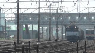 JR貨物 EF65-1096 貨物列車(5087レ JR貨物更新色 赤プレ) 清洲駅貨物線