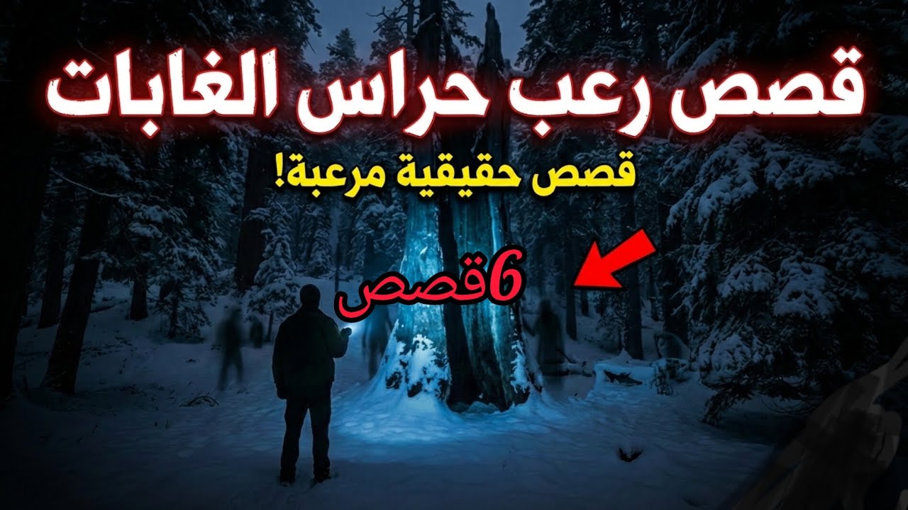 ماذا يرى حراس الغابة في الليل؟ | 6 قصص رعب نفسية تحبس الأنفاس 