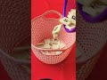 Dropping Chips On A Basket Satisfying Sound Shorts Viral Trending Asmr Satisfying 