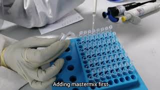 PART 3: REAL-TIME RT-PCR