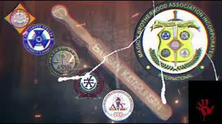 VIVA VIVA MAGIC FIVE LONGLIVE
