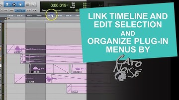 Essential Pro Tools Settings: Link Timeline and Edit Selection & Organize Plug-in Menus By