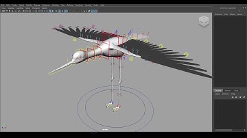 Bird rigging demo stilt bird
