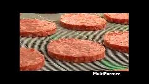 GEA (CFS) формовка льезонирование панировка котлет презентация