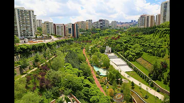 Cosa significa che la vera ecologia deve avere anche un approccio sociale?