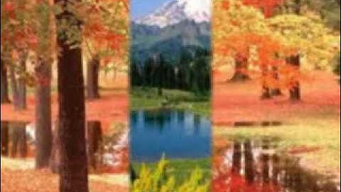 الشيخ منير الأيات من 63 إلي 79 من سورة يوسف