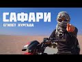 Сафари в Хургаде. Катание на верблюдах. Отдых в Египте