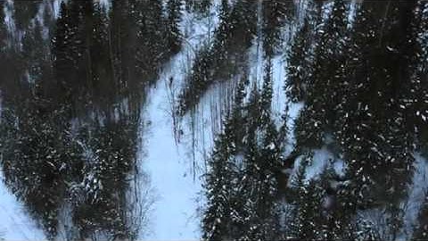 『エッセンシャル・キリング』予告編