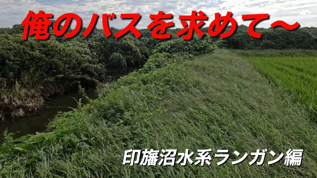 2025年9月下旬　【バス釣り】俺のバスを求めて〜　初めての印旛沼水系ランガン編　どうぞ〜！