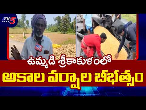 నీట మునిగిన వరి, అరటి..Heavy Rains Hit Farmers in Srikakulam | TV5 News - TV5NEWS
