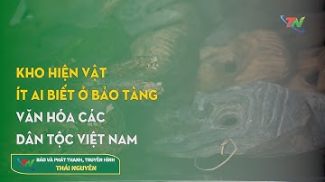 Kho hiện vật ít ai biết ở Bảo tàng Văn hóa các Dân tộc Việt Nam-Phần 1