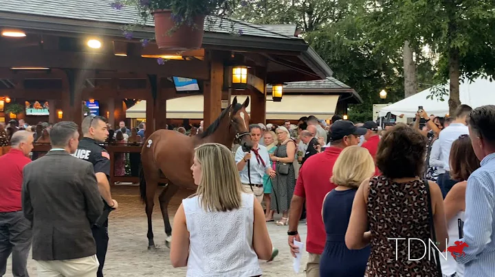 The Return of the Saratoga Magic