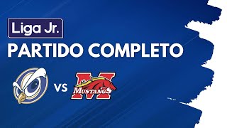 Liga Jr. U-14 2021 -Cuartos de Final - AIP 0-1 Panamerican (Partido Completo)