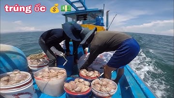 Không Ngờ Lại Gặp Ổ Ốc Quá Trời – Bắt Không Kịp Tay | Tập 15