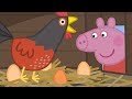 Peppa Pig Nederlands Compilatie Nieuwe Afleveringen 🐣 De Kippen Van Oma Big  | Tekenfilm
