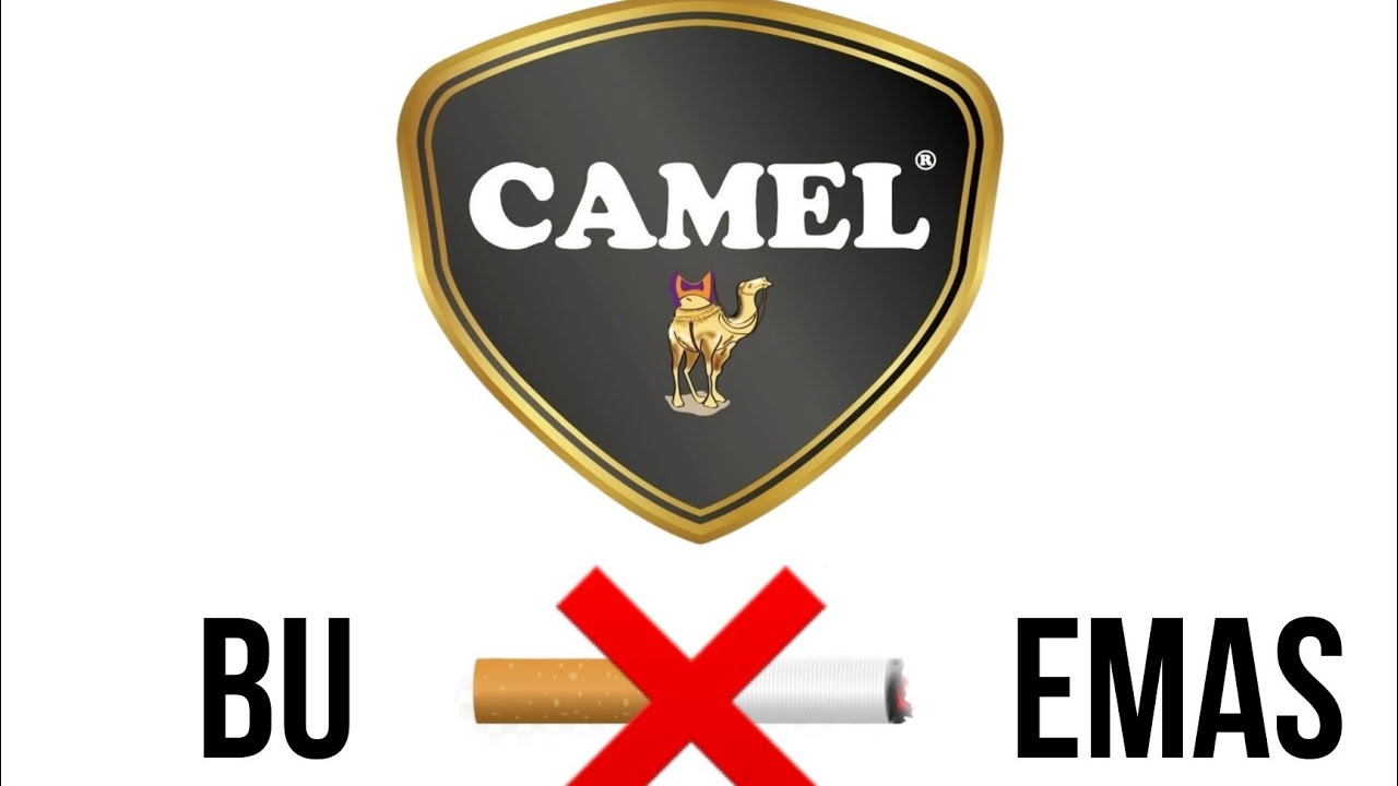 Karak tea O'zbekistonda-Yangi "Sut choy" ta'mli Qahva