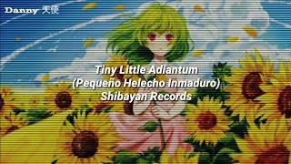 【TOUHOU】 Tiny Little Adiantum (タイニーリトル・アジアンタム) - Sub. Español