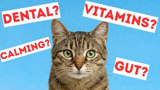 The Best Supplements for Cats (That Actually Work)