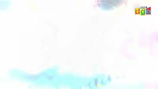 Wedding Video Short Video Clip 4