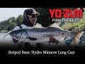 Best Striper Lure: Hydro Minnow LC