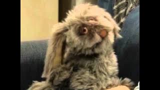 Auf schlimmer und ewig -  Mr Floppy und die Atombombe