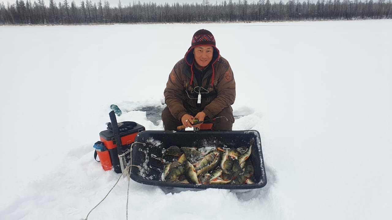 рыбалка первый лед. зимняя рыбалка. первый лед. рыбы зимой. рыбаки на льду.